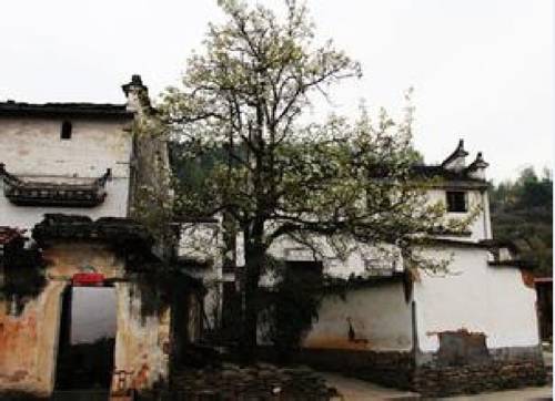 Wuyuan China hotel mega discount code booking.com