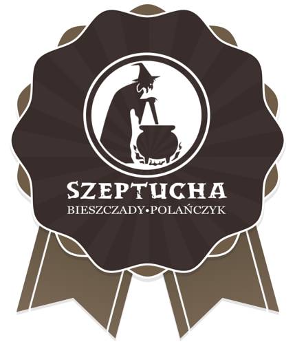Polańczyk Poland hotel mega discount code booking.com